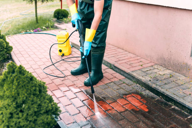 Best Driveway Pressure Washing  in Fort Recovery, OH